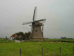 Nederland2